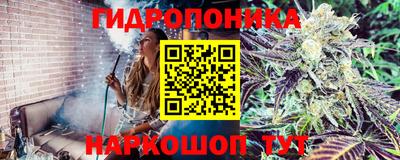 гидра Ливны