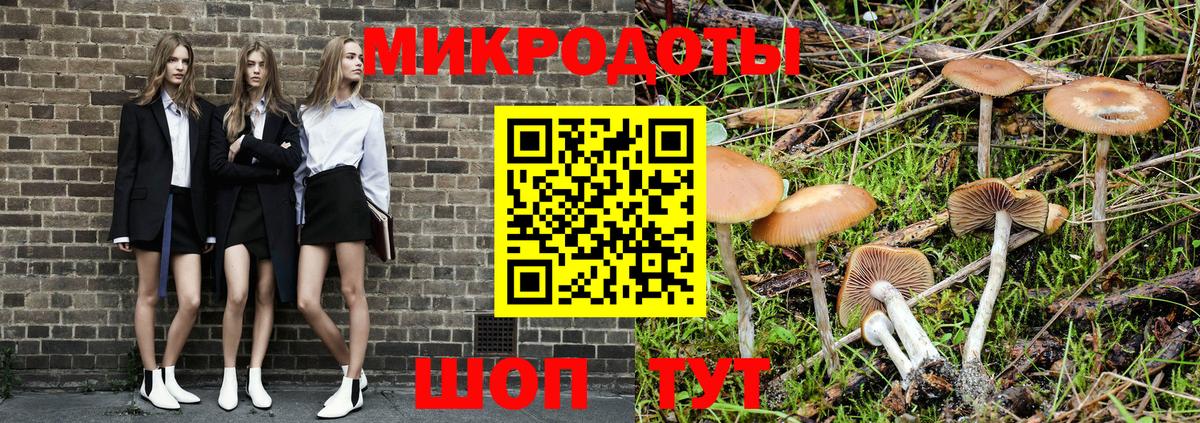где найти   Вход с VPN  Тельмана  Псилоцибиновые грибы мухоморы 